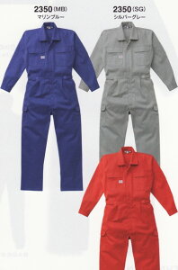 2350 RcCyȂzyÓdh~ciMzAUTO-BI(I[goC)