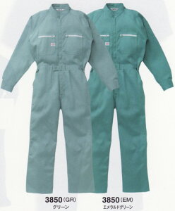 3850 RcCyȂzy100%cdLzAUTO-BI(I[goC)