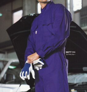 8877 RcCyȂzyѓdh~cdLz@AUTO-BI(I[goC)