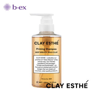 yz NCGXe vC~O Vv[ S[hNC 400ml VR   􂢏グ wAPA wAX^C r[GbNX r[eB[GNXyGX CLAYESTHE b-ex