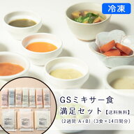 【冷凍】GSミキサー食 満足セット (2週間 A+B)(3食×14日間分)【送料無料】