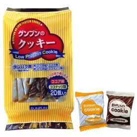 グンプンクッキー 6g×20 [低たんぱく/低たんぱく食品/たんぱく質調整/腎臓病食]