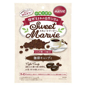 J[ XEB[g}[r[ LfB 49g