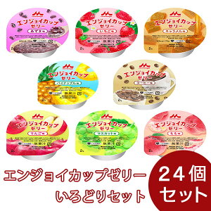 H J[ GWCJbv[[ ǂZbgi8e3j 70g×24