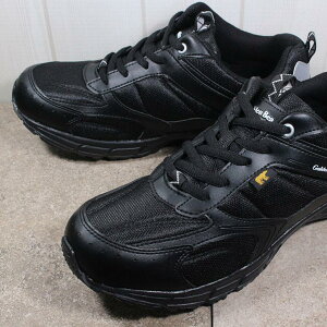 Golden Bear S[fxA[ GB-106 GB-107 GB-109 Y Xj[J[ XbvI }WbNe[v V[Y C RȂC GB106 GB107 GB109