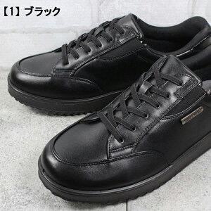 A[mhp[}[ hrWlXV[Y AP0091 ubNE_[NuEEL 25cm`28cm Y hXb| Xj[J[ V[Y RC ₷C C 4E  L h 