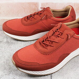 hN^[AbV[ hXj[J[ DN1002 ubN bh J[L zCg 25.5cm`27cm Y Xb| XbvI Xj[J[ JWAV[Y CXj[J[ CV[Y RC