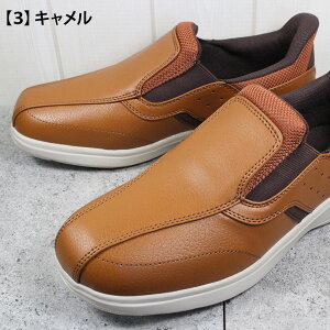 _bv nYt[Xj[J[ t@Ch C1021 ubN g[v L 24.5cm`28cm Y Xb| XbvC Xj[J[ V[Y RȂC amC ^C ƌC ₷