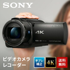 【最大2,000円OFF！4/24 20時～4/25 24時】 デジタル4Kビデオカメラレコーダー SONY FDR-AX45A(TI)