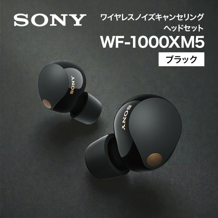 楽天市場】【10％OFF☆4/14 20:00〜4/17 9:59】 ソニー SONY ノイズ 