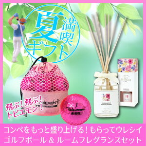 ViTOBIEMON q F 2s[X\St{[ bVobN sN [tOX Zbg