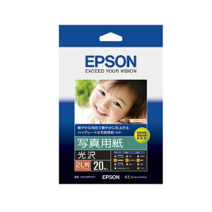 Vi Gv\ EPSON ʐ^p 2L 20 K2L20PSKR