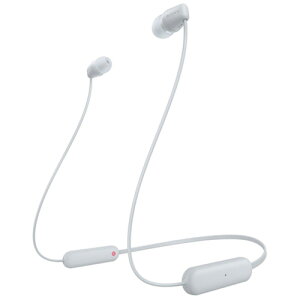 �\�j�[ SONY WI-C100 WZ Bluetooth�C���z��