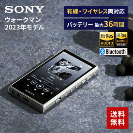 ソニー SONY ウォークマン WALKMAN 2023年モデル グレー 32GB ハイレゾ対応 NW-A306 HC