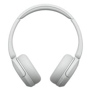 �u���[�g�D�[�X�w�b�h�z�� �z���C�g �\�j�[ WH-CH520 WZ