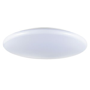 OHM オーム電機 LEDシーリングライト 12畳用 調光 昼光色 リモコン付き LE-Y45DBG-W5