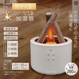 ヒロコーポレーション 焚き火型USB加湿器 加湿器 卓上 ミニ加湿器 焚き火 癒し ゆらぎ 超音波 HED-2801 父の日 ギフト 2026 贈り物 プレゼント 母 父 ペアギフト