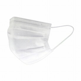 カラーマスク 不織布マスク 30枚 個包装 使い捨て 花粉 飛沫防止 ほこり 立体3層構造 男女兼用 ピュアホワイト 株式会社 ライズジャパン 20230407pureWmask30P