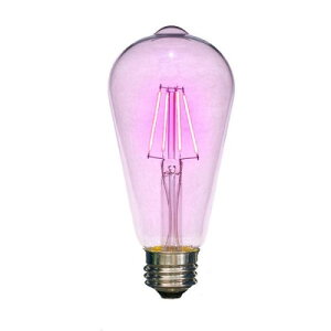 �O���[�o�� AMEDAMA �t�B�������gLED�J���[�d�� ST64/E26 �s���N �I�[�� FLDC-ST64P ���̓� �M�t�g 2026 ���蕨 �v���[���g �� �� �y�A�M�t�g