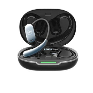 ���S���C�����X�C���z��[�I�[�v���C���[/��C�`����/AI�m�C�Y���_�N�V����] �u���b�N KINGLUCKY i31proMax-BK