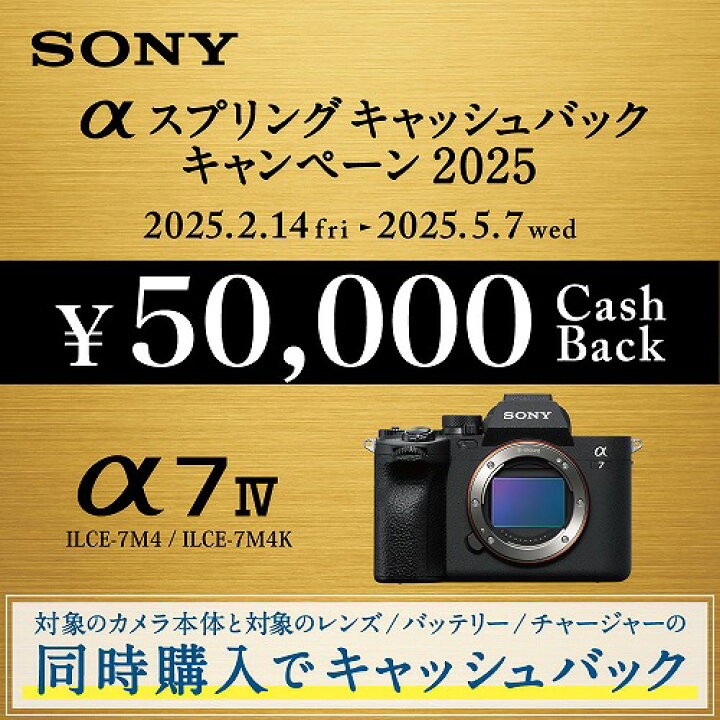 楽天市場】【最大2,000円OFFクーポン有】 SONY ソニー ミラーレス α7 