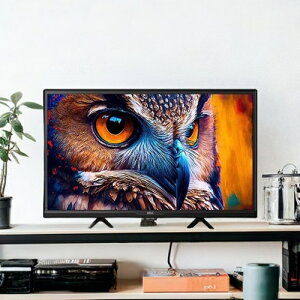 テレビ 24型 フィールドスリー IREI アイリー 液晶テレビ 24インチ Google TV搭載 スマートテレビ グーグルテレビ Netflix Bluetooth5.0対応 音声検索 ハイビジョン FFF SMART LIFE CONNECTED FFF-TV24WG-SP