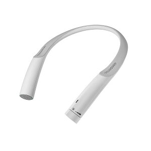 CXlbNXs[J[ I[fBIeNjJ AT-NSP700TV