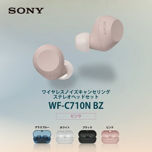 \j[ SCXCz sN mCYLZO O荞 DSEE ő30ԍĐ hH IPX4 }`|CgΉ o ^b`ZT[ WF-C710N PZ