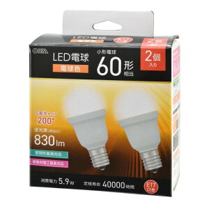 LED�d�����` E17 60�`���� �d���F 2�� �I�[���d�@ LDA6L-G-E17 IS53 2P ���̓� �M�t�g 2026 ���蕨 �v���[���g �� �� �y�A�M�t�g