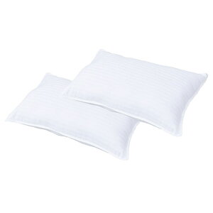 }CNt@Co[2g pbht 43×63×18cm zedl g傫߃TCY K50712525