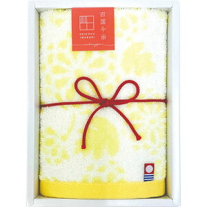 Mtg ؉ EHbV^I LN 34×35cm B1026586