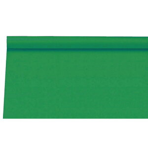 【5個セット】 ARTEC ジャンボロール画用紙 緑 10m ATC13950X5