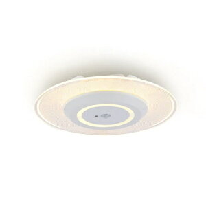 ���^�V�[�����O���C�g ������ 1000lm �d���F �l���Z���T�[�t �A�C���X�I�[���} SCL100L-MS-PK �V���� ��l��炵 �����z�� �V�������� �P�g