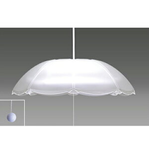 Vi ^LY~ TAKIZUMI my_g RV80057