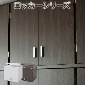 【P2倍】 ロッカーシリーズ 上置き 棚 ラック 単品 幅60 天井 つっぱり 収納 クローゼット 衣類収納 服 洋服 衣類 天袋 棚 上棚 アイデア 収納術 一人暮らし