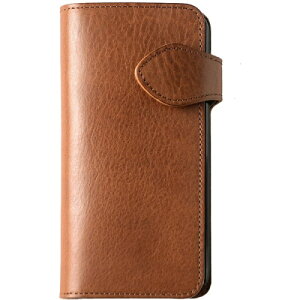 �X���݌ɕi iQ Labo �A�C�L���[���{ �g�уP�[�X DG-SEJN-BR �u���E��