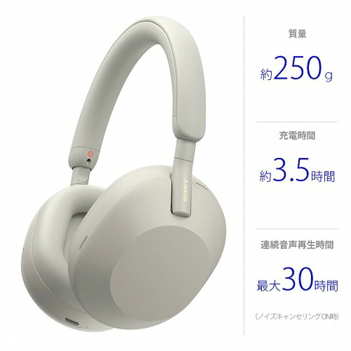 楽天市場】【最大2,000円OFFクーポン有】 SONY ワイヤレス ノイズ 