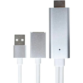 【P2倍】 リック RiC iPhone専用 TVキャストHDMIケーブル RiC-iP-HDMICAST メーカー保証：6ヶ月