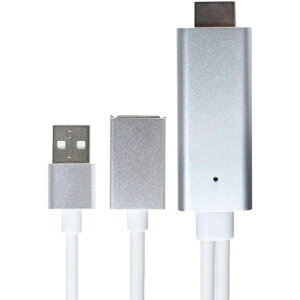 ���b�N RiC iPhone��p TV�L���X�gHDMI�P�[�u�� RiC-iP-HDMICAST ���[�J�[�ۏ؁F6����