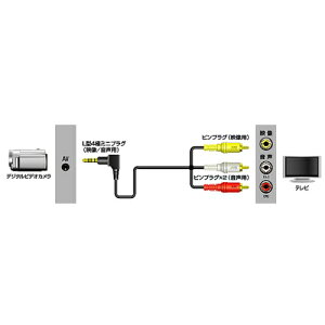 �V�i JVC�P���E�b�h L�^4�Ƀ~�j�v���O �f���E�����p -�s���v���OX3 1m VX-ML10G