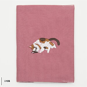 z̃pX|[gJo[ pX|[gP[X  Rbg gx s 킢 a a RTCX TTC