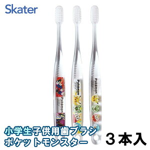 XP[^[ NAuV 3{Zbg wp |P 6`12ˌ