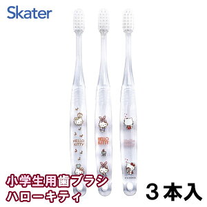 NAuV 3{Zbg wp n[LeB Lbvt 6`12ˌ 炩 TBCR6T_XP[^[