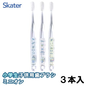 XP[^[ 6`12 wp NAǂuV 3{ ~jI 炩 TBCR6T Lbv1t