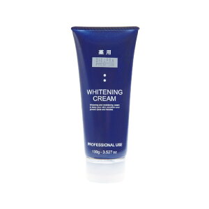 ft@v~AzCgjON[@i100gjN[ 򕔊Oi Au`   O