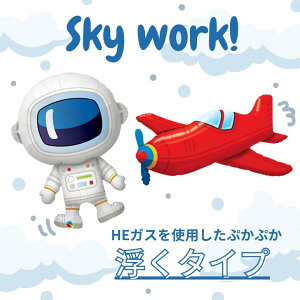 y Ă͂ z SkyworkI ^Cv o[u[P A~o[ u[P  a j 蕨 o[Xf[ HBD wEKX ^ Fsm Vv Ђ F 