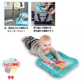 Kids2 Baby Einstein 16847 水の動きを楽しむウォーターマット キッズツー ベビーアインシュタイン 赤ちゃん ベビー 0ヶ月 知育玩具 教育 水遊び 出産祝い 室内遊び ギフト プレゼント 誕生日 お祝い 贈り物 ブラックフライデー クリスマス