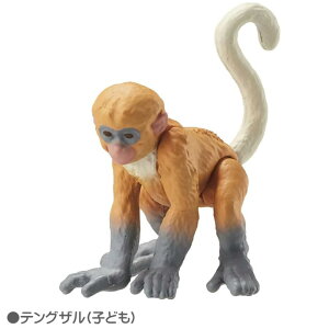 O AjAqǂV[Y S8 Jo S i}Pm eOU CI L S}tAUV JK[ ^Jg~[  tBMA  qǂ V 3 v[