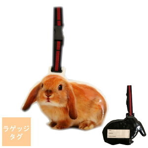 QbW^O ETM LH-646ylR|Xɂzwszl[^O l[v[g gxl[^O Q[W^O COs s spobO X[cP[X StobO 