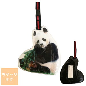 O QbW^O p_ LH-172ylR|Xɂzwszl[^O l[v[g gxl[^O Q[W^O COs s spobO X[cP[X StobO 